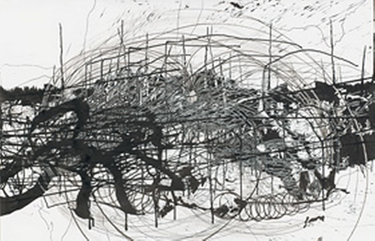 K20100196.jpg